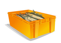 Ящики для рыбы